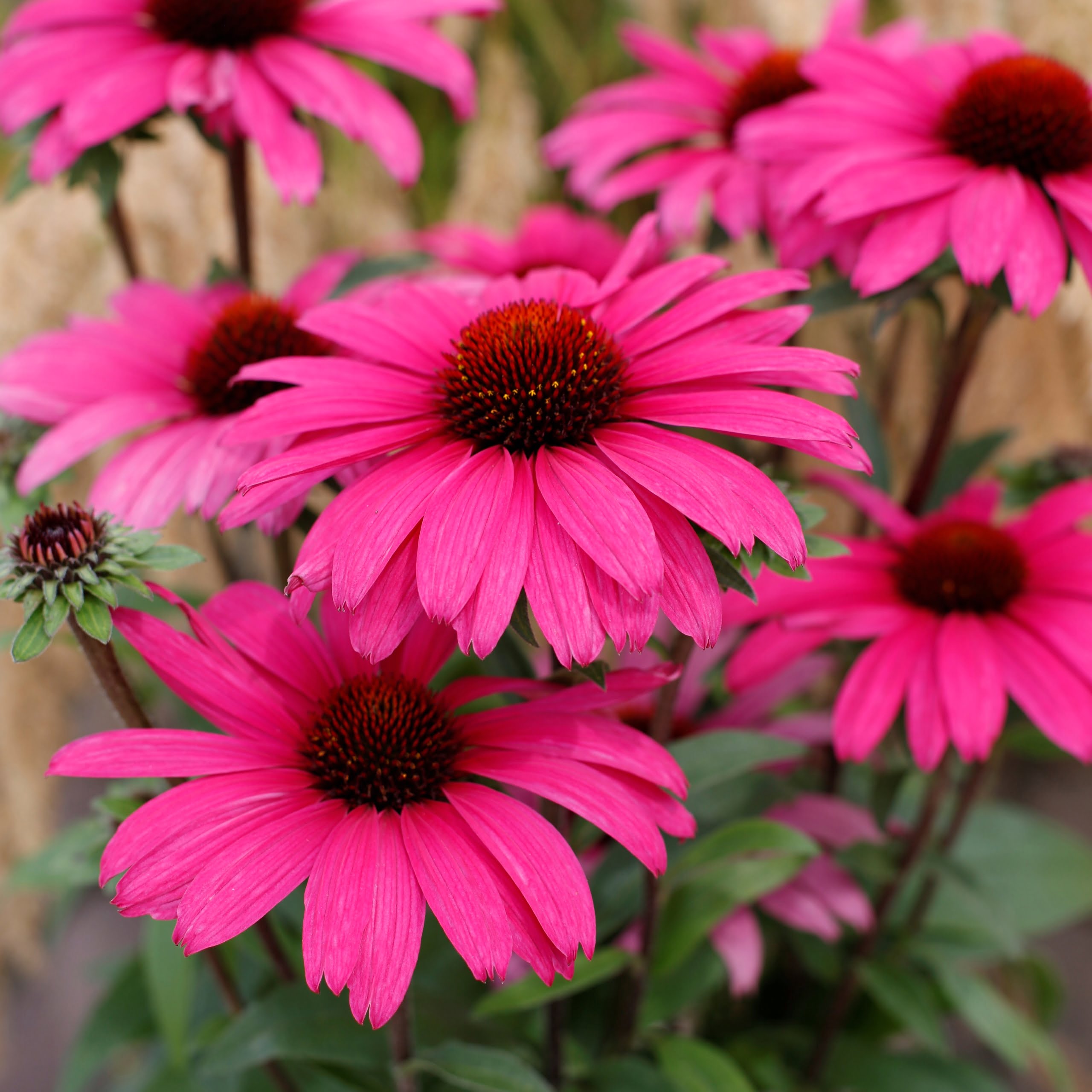 7121212c02db45ffacbf5346a47ef0d2.jpg