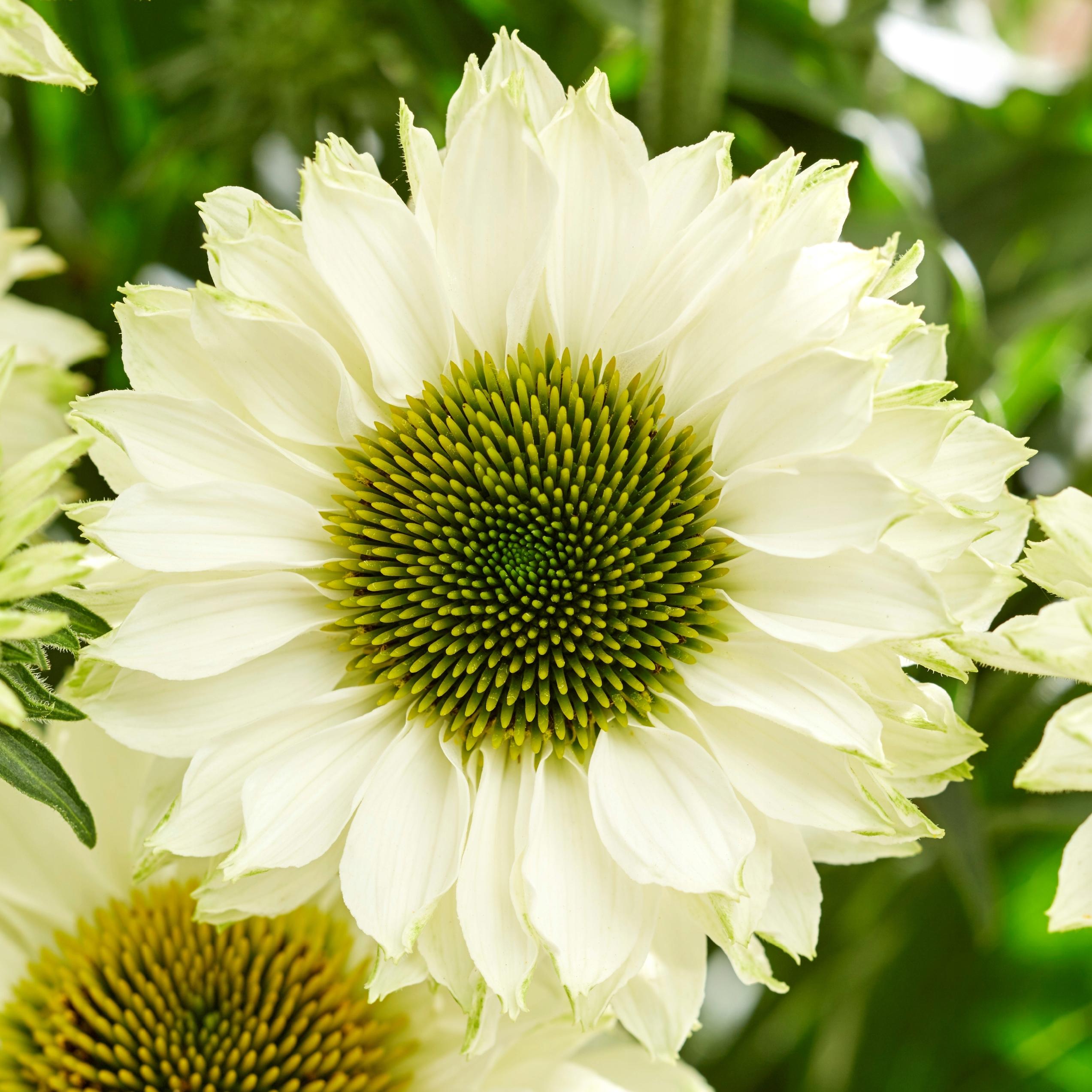 a1f82d0d0bfbec1b2536b8bee6a1f14e.jpg