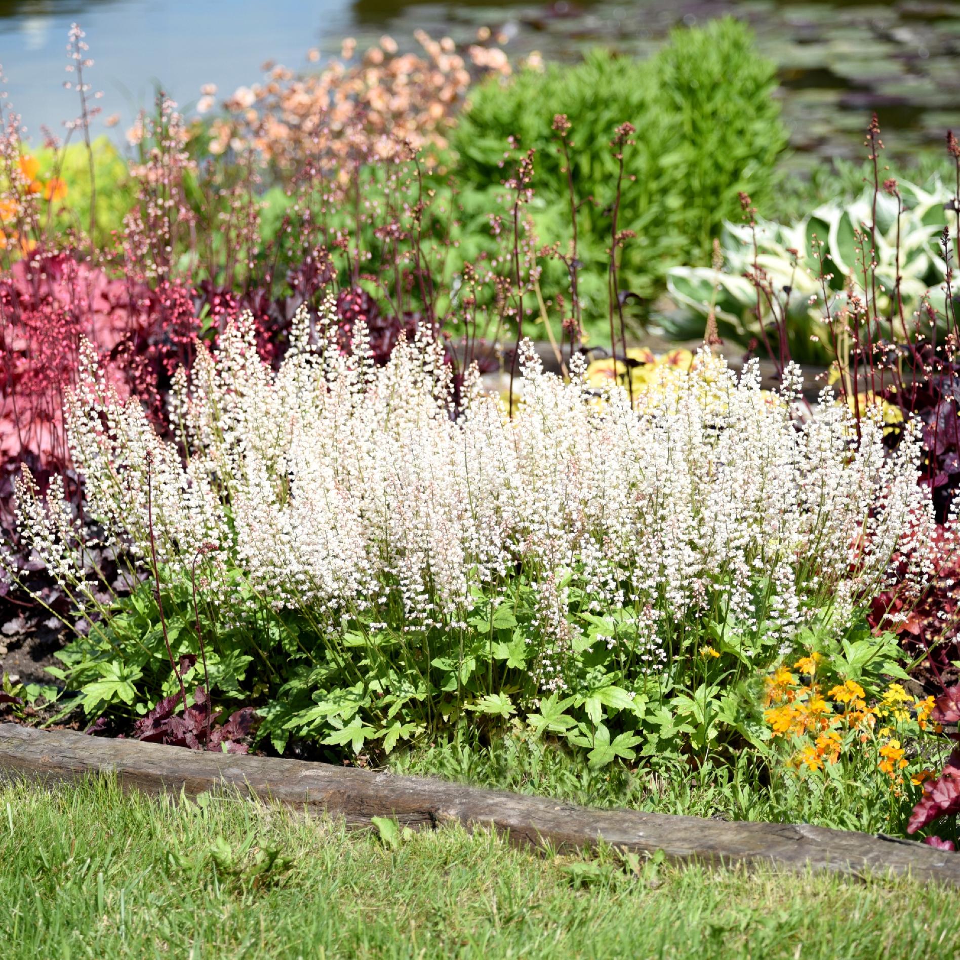 bedb5043e1fdbb27f230f676bf8dcee5.jpg