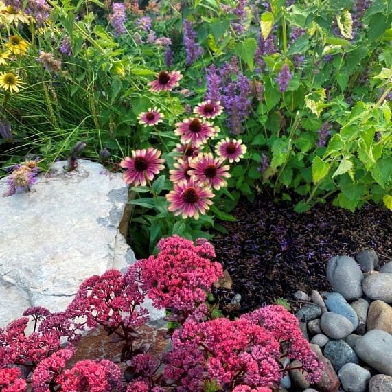 79ab9d55346aa4a4f49ac3dc1356165f.jpg