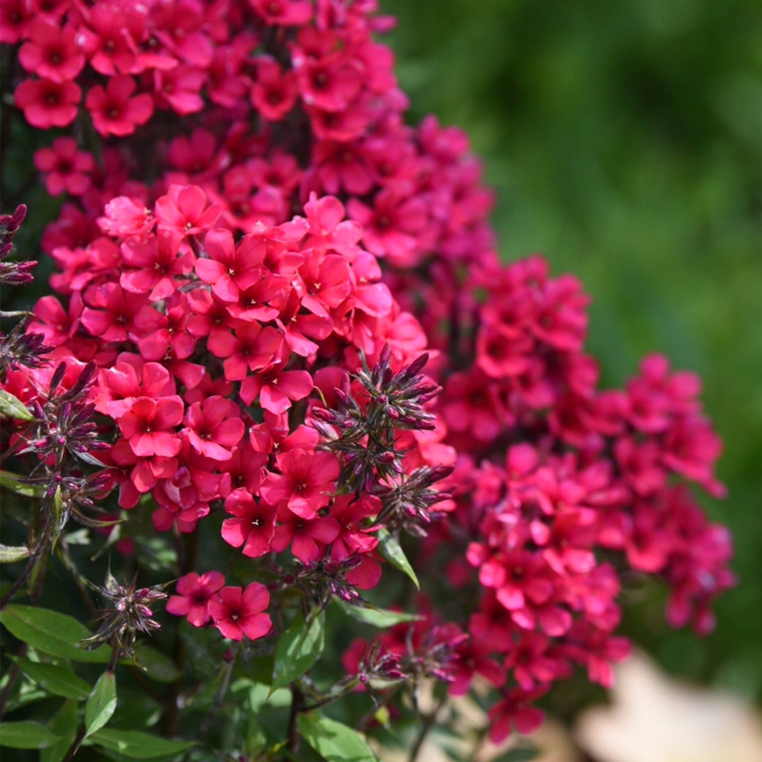 7ccadd277b7c33b3f06def330d4bbe16.jpg
