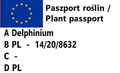 9118619a3637a4e032f800c817660e03.jpg
