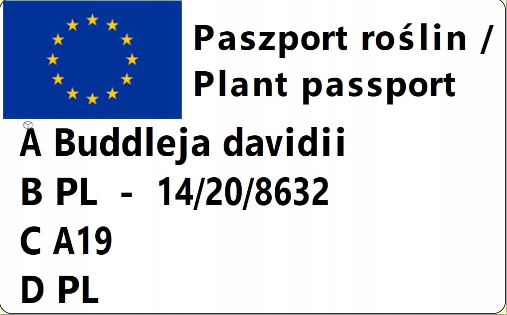 8b8adf322d5dd2209fa84e1084149d02.jpg