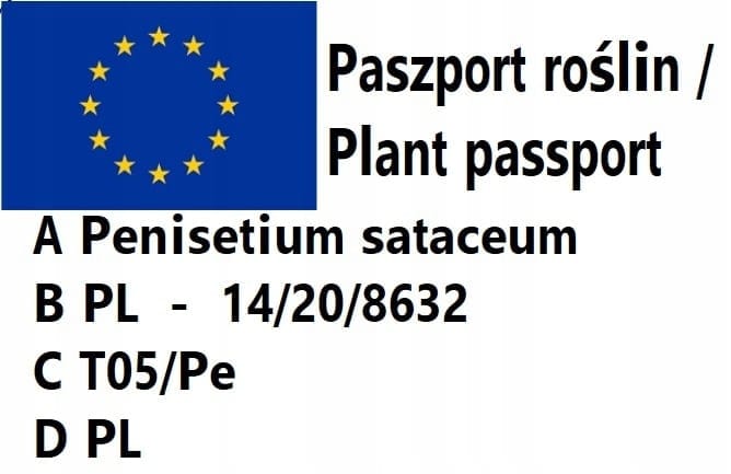 cc3c3d631a11a16de38061a5c187786b.jpg