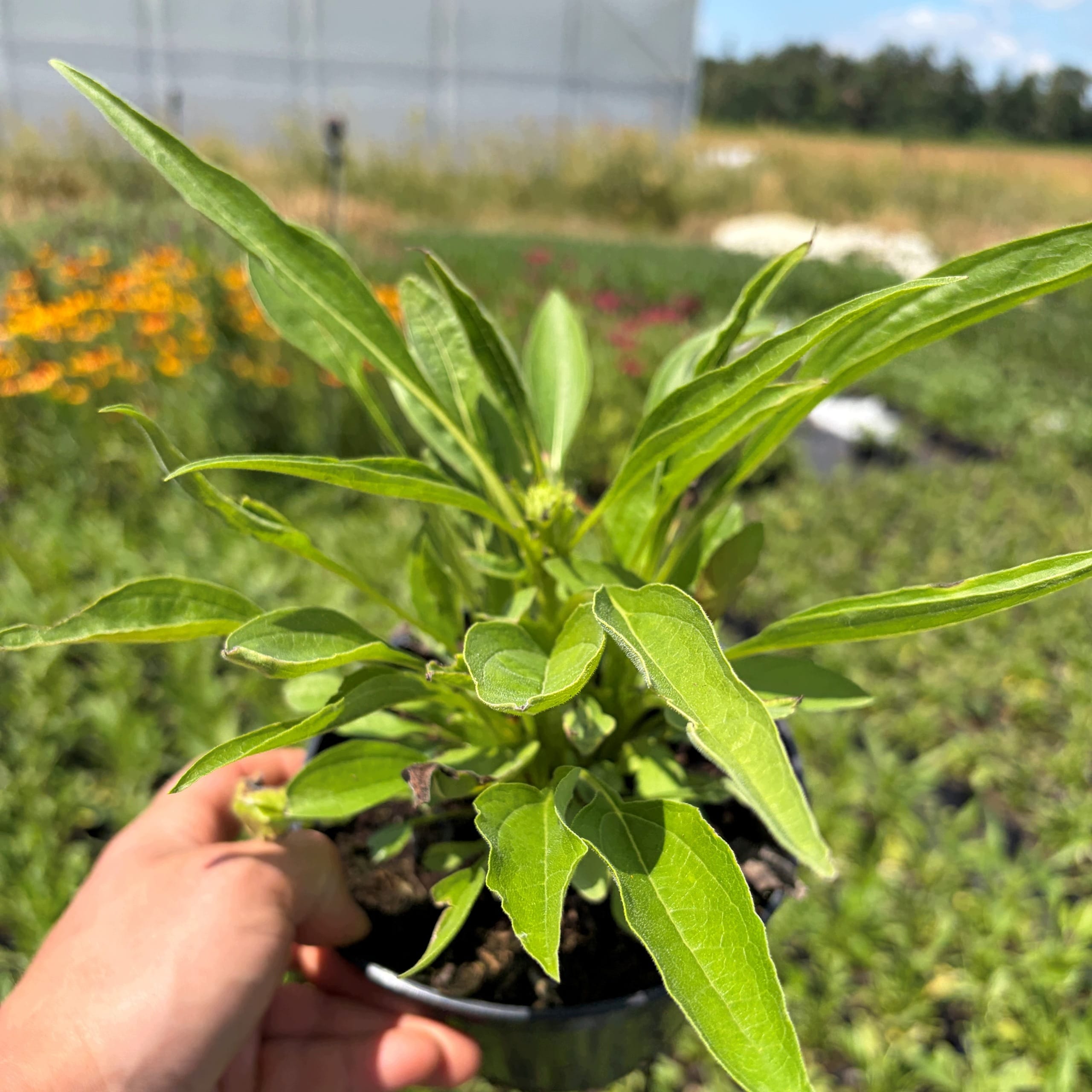 fe39af47d6d80f0a8c04b1c0b895de32.jpg a336276bfc75b8f912261454625a2ced